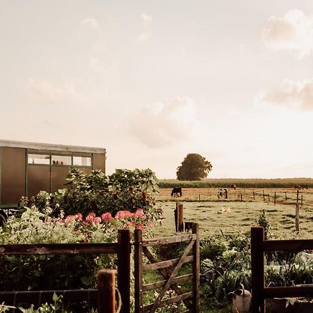 Slapen Tussen De Paarden Hotel Essen Exterior photo